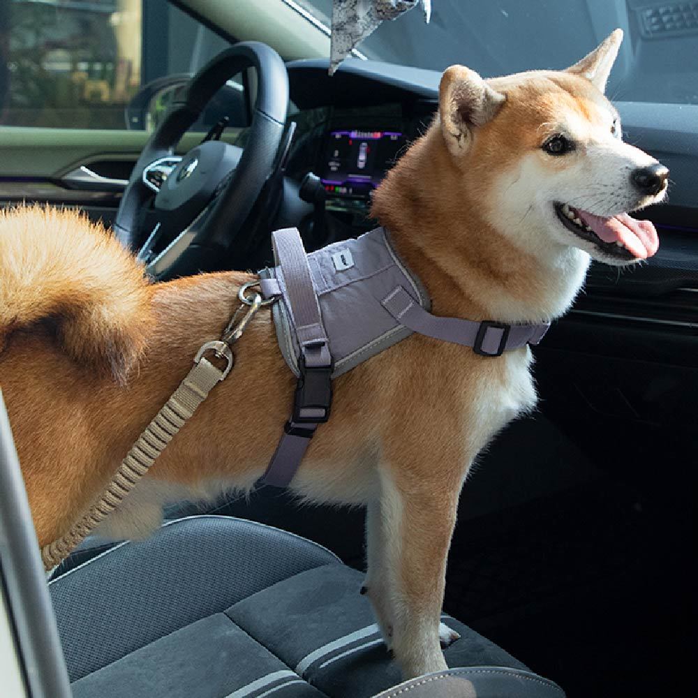 山谷汽車安全帶插扣緩沖繩(兩色)